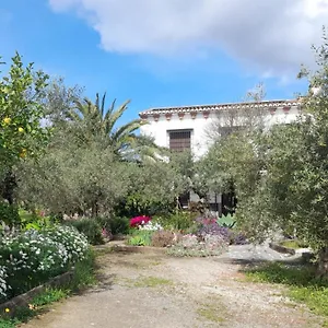 https://el-olivar-de-concha-caminito-del-rey.es-andalucia.com